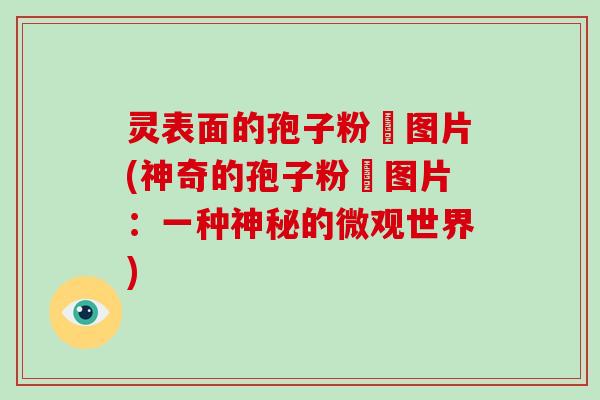 灵表面的孢子粉沬图片(神奇的孢子粉沬图片:一种神秘的微观世界)