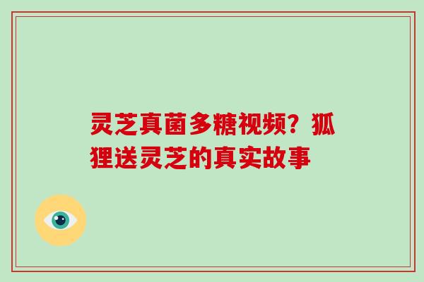 灵芝真菌多糖视频?狐狸送灵芝的真实故事
