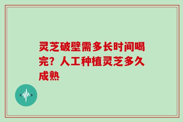 灵芝破壁需多长时间喝完？人工种植灵芝多久成熟