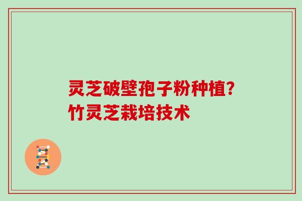 灵芝破壁孢子粉种植?竹灵芝栽培技术