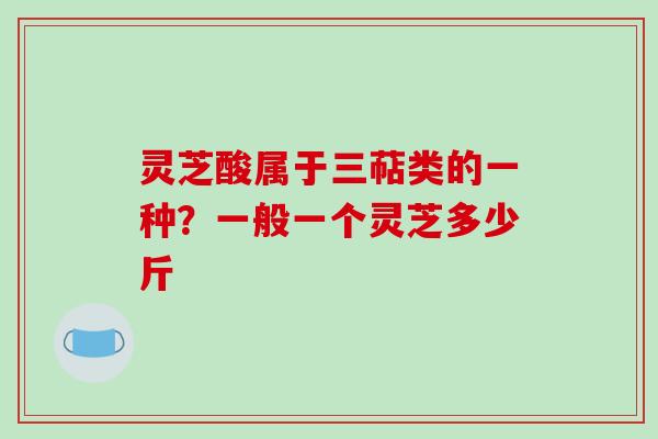灵芝酸属于三萜类的一种?一般一个灵芝多少斤