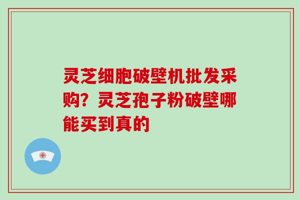 灵芝细胞破壁机批发采购?灵芝孢子粉破壁哪能买到真的