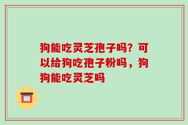 狗能吃灵芝孢子吗?可以给狗吃孢子粉吗,狗狗能吃灵芝吗