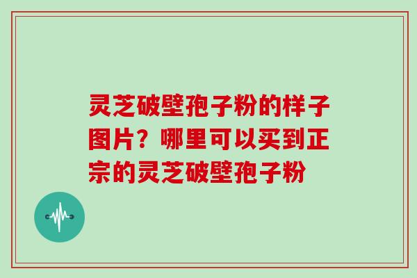 灵芝破壁孢子粉的样子图片？哪里可以买到正宗的灵芝破壁孢子粉