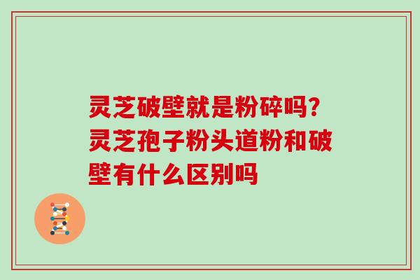 灵芝破壁就是粉碎吗?灵芝孢子粉头道粉和破壁有什么区别吗