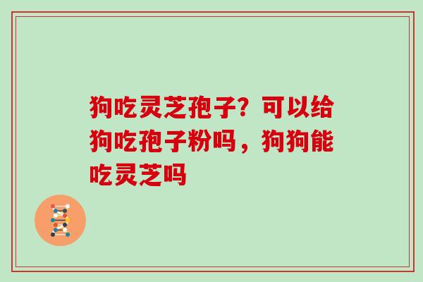 狗吃灵芝孢子?可以给狗吃孢子粉吗,狗狗能吃灵芝吗