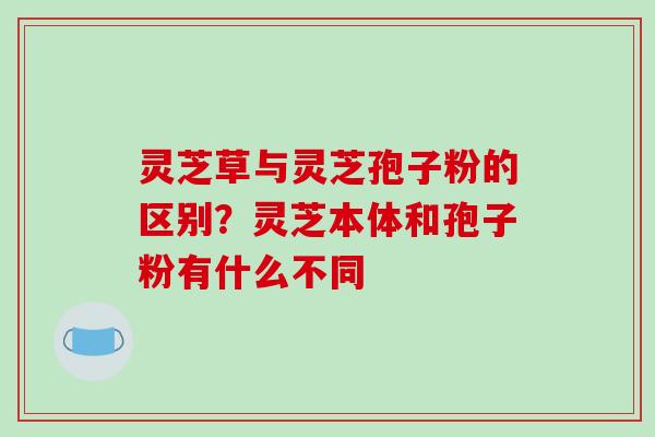 灵芝草与灵芝孢子粉的区别?灵芝本体和孢子粉有什么不同