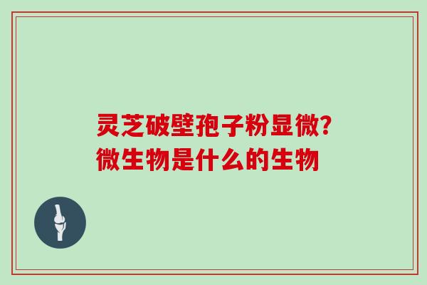 灵芝破壁孢子粉显微?微生物是什么的生物