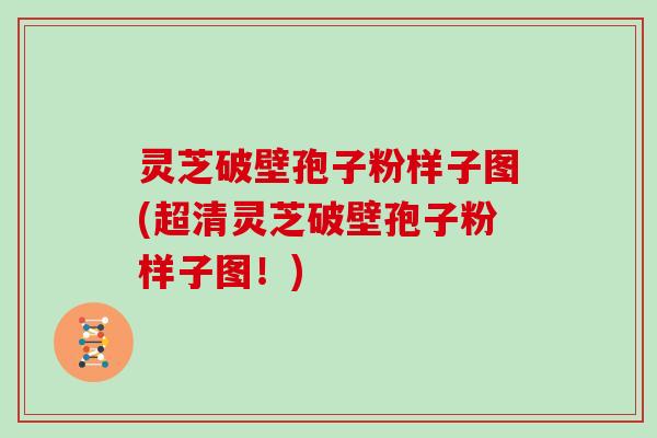 灵芝破壁孢子粉样子图(超清灵芝破壁孢子粉样子图!)