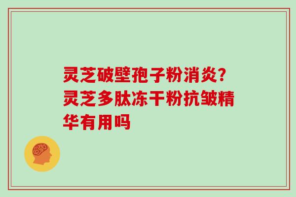 灵芝破壁孢子粉消炎?灵芝多肽冻干粉抗皱精华有用吗