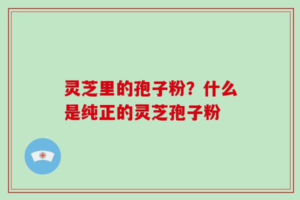 灵芝里的孢子粉?什么是纯正的灵芝孢子粉