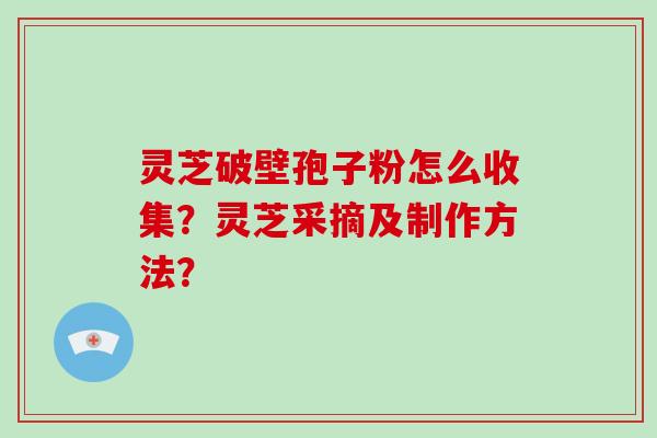 灵芝破壁孢子粉怎么收集?灵芝采摘及制作方法?