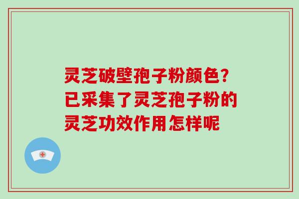 灵芝破壁孢子粉颜色?已采集了灵芝孢子粉的灵芝功效作用怎样呢