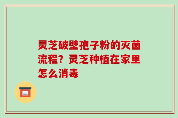 灵芝破壁孢子粉的灭菌流程?灵芝种植在家里怎么消毒