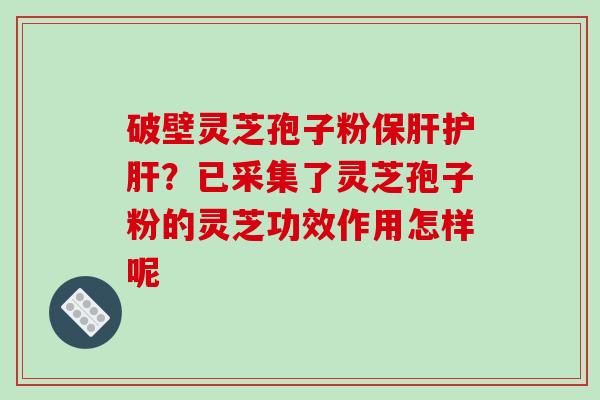 破壁灵芝孢子粉保肝护肝?已采集了灵芝孢子粉的灵芝功效作用怎样呢