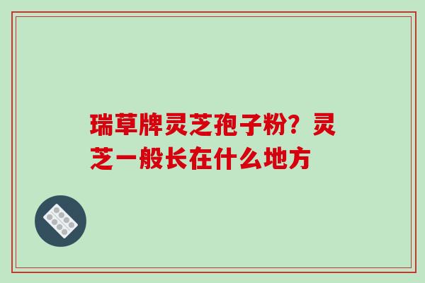 瑞草牌灵芝孢子粉?灵芝一般长在什么地方