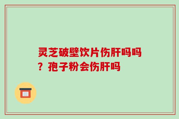 灵芝破壁饮片伤肝吗吗?孢子粉会伤肝吗