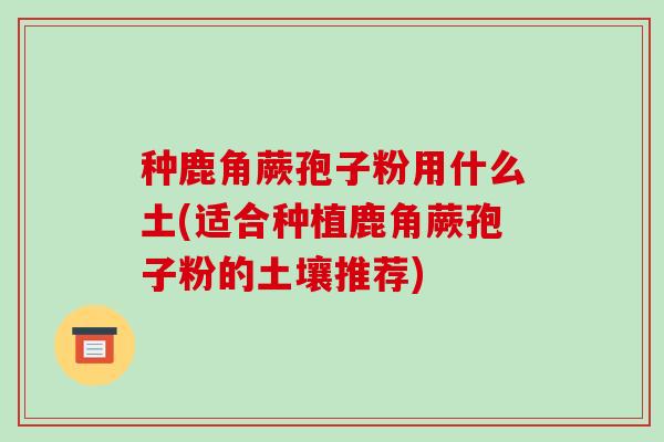 种鹿角蕨孢子粉用什么土(适合种植鹿角蕨孢子粉的土壤推荐)