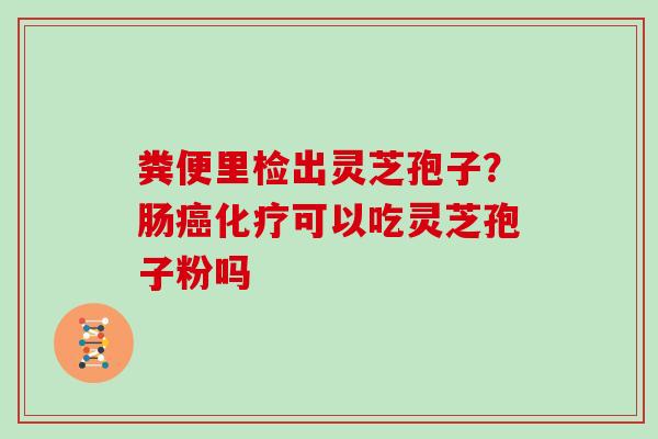 粪便里检出灵芝孢子？肠癌化疗可以吃灵芝孢子粉吗