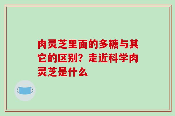 肉灵芝里面的多糖与其它的区别?走近科学肉灵芝是什么