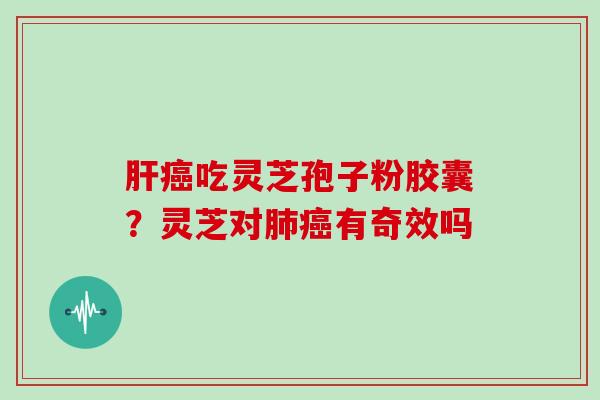 肝癌吃灵芝孢子粉胶囊?灵芝对肺癌有奇效吗