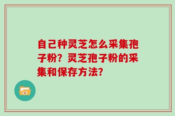 自己种灵芝怎么采集孢子粉？灵芝孢子粉的采集和保存方法？