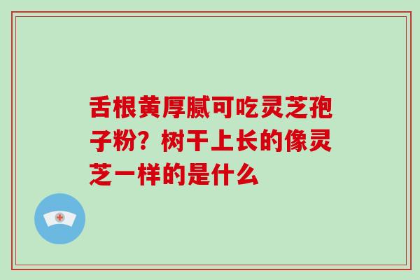 舌根黄厚腻可吃灵芝孢子粉？树干上长的像灵芝一样的是什么