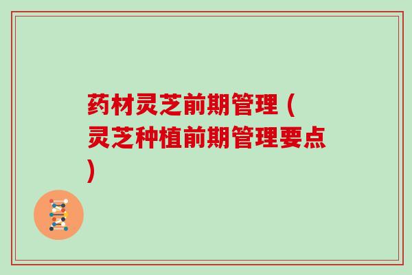 药材灵芝前期管理 (灵芝种植前期管理要点)