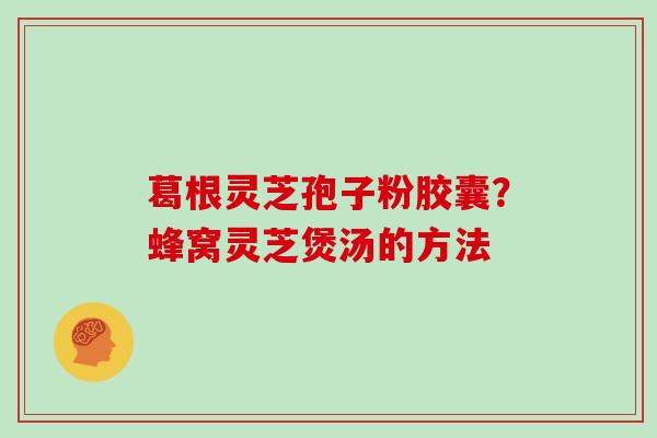 葛根灵芝孢子粉胶囊?蜂窝灵芝煲汤的方法