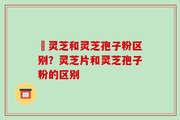 艼灵芝和灵芝孢子粉区别?灵芝片和灵芝孢子粉的区别