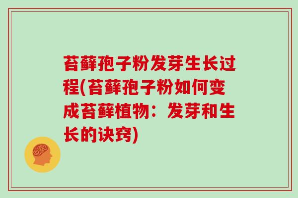 苔藓孢子粉发芽生长过程(苔藓孢子粉如何变成苔藓植物：发芽和生长的诀窍)