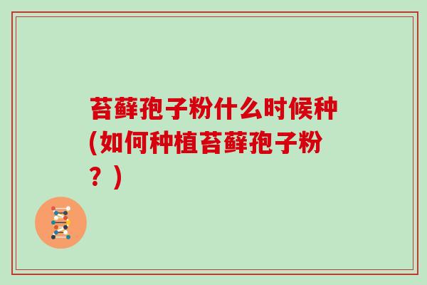 苔藓孢子粉什么时候种(如何种植苔藓孢子粉？)