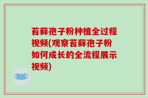 苔藓孢子粉种植全过程视频(观察苔藓孢子粉如何成长的全流程展示视频)