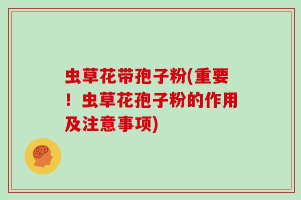 虫草花带孢子粉(重要！虫草花孢子粉的作用及注意事项)