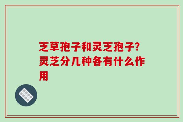 芝草孢子和灵芝孢子?灵芝分几种各有什么作用