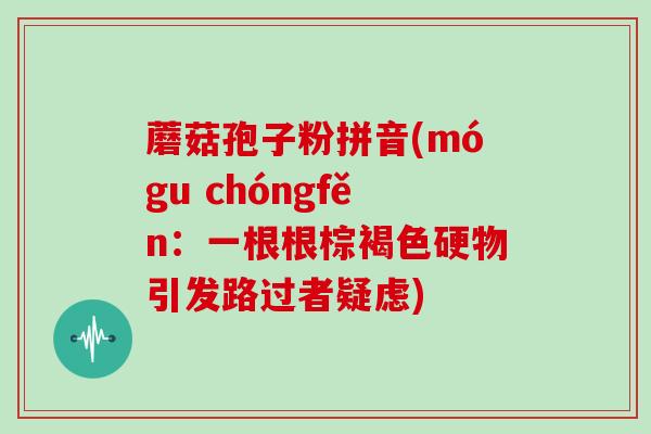 蘑菇孢子粉拼音(mógu chóngfěn：一根根棕褐色硬物引发路过者疑虑)