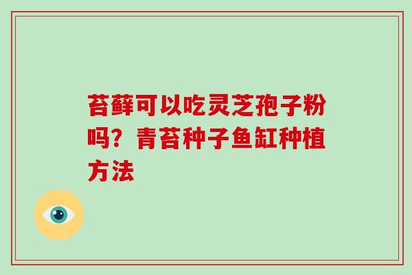 苔藓可以吃灵芝孢子粉吗?青苔种子鱼缸种植方法