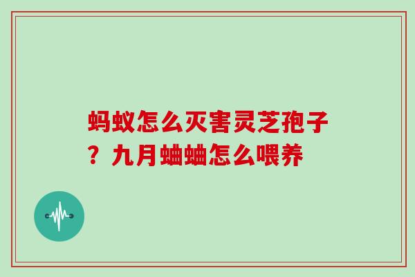 蚂蚁怎么灭害灵芝孢子?九月蛐蛐怎么喂养