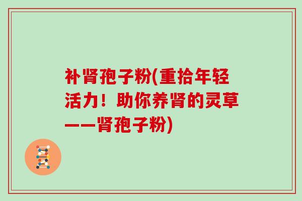 补肾孢子粉(重拾年轻活力!助你养肾的灵草——肾孢子粉)