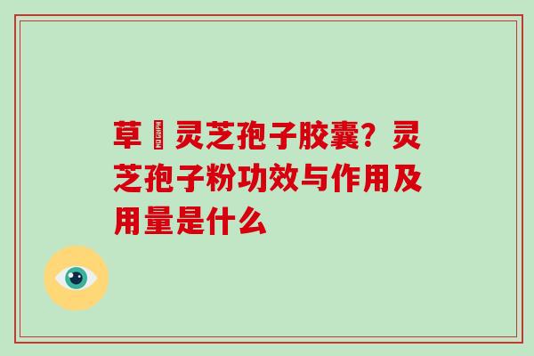 草姫灵芝孢子胶囊?灵芝孢子粉功效与作用及用量是什么