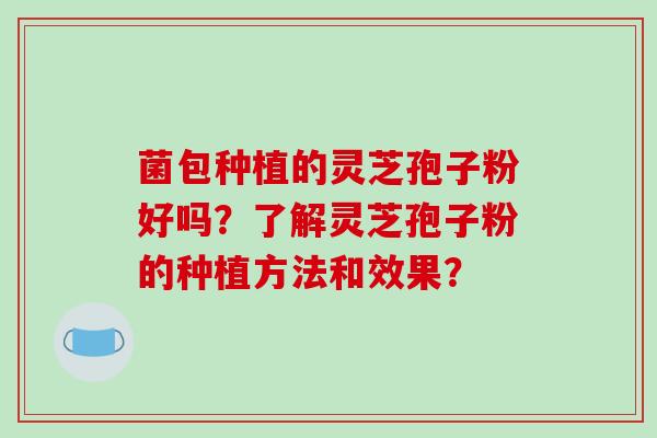 菌包种植的灵芝孢子粉好吗?了解灵芝孢子粉的种植方法和效果?