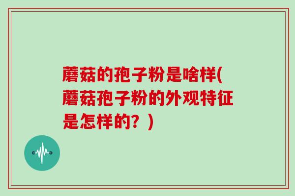 蘑菇的孢子粉是啥样(蘑菇孢子粉的外观特征是怎样的？)