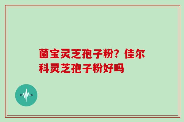 菌宝灵芝孢子粉?佳尔科灵芝孢子粉好吗