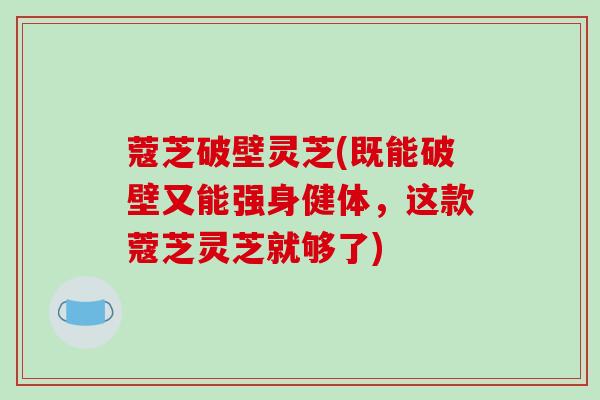 蔻芝破壁灵芝(既能破壁又能强身健体,这款蔻芝灵芝就够了)