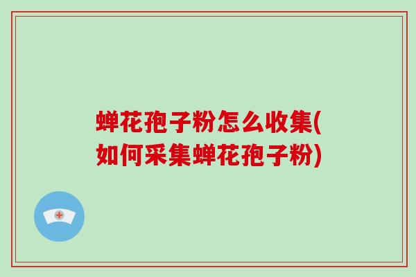 蝉花孢子粉怎么收集(如何采集蝉花孢子粉)