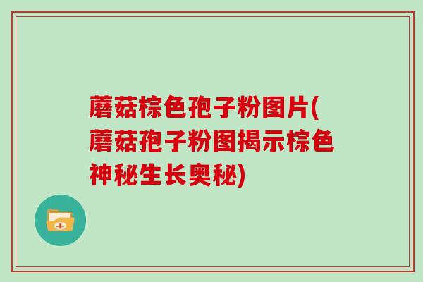 蘑菇棕色孢子粉图片(蘑菇孢子粉图揭示棕色神秘生长奥秘)