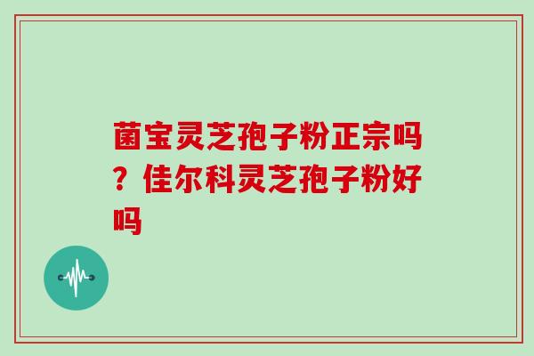 菌宝灵芝孢子粉正宗吗?佳尔科灵芝孢子粉好吗