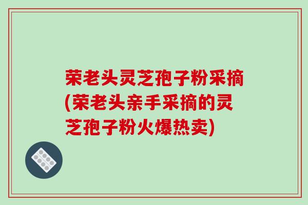 荣老头灵芝孢子粉采摘(荣老头亲手采摘的灵芝孢子粉火爆热卖)