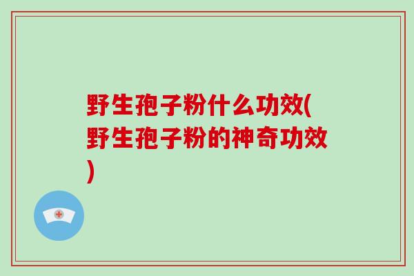 野生孢子粉什么功效(野生孢子粉的神奇功效)