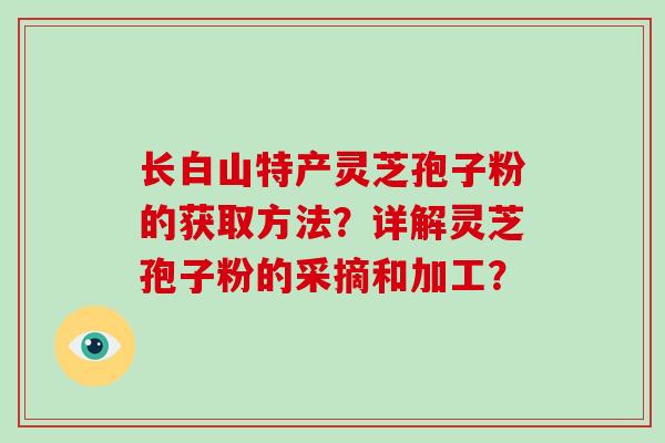 长白山特产灵芝孢子粉的获取方法?详解灵芝孢子粉的采摘和加工?